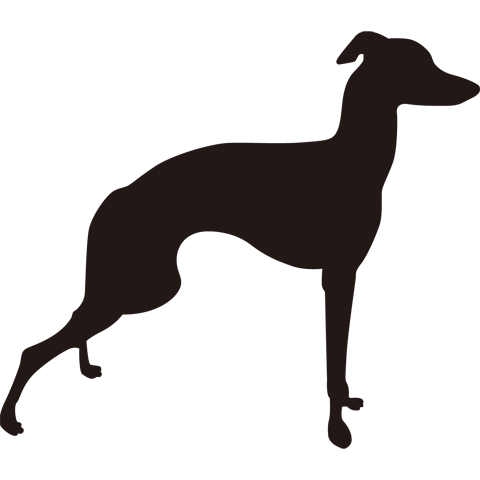 ガリガリ犬